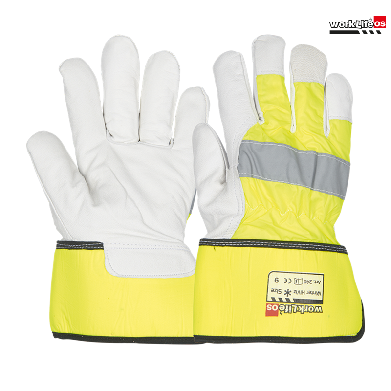 Winter_HiViz.png